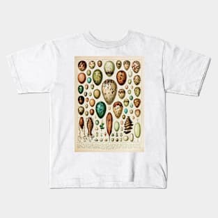 Eggs | Vintage French Biology Chart by Adolphe Millot Kids T-Shirt